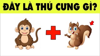 Câu Đố Đuổi Hình Bắt Chữ Đoán Tên Các Loại Thú Cưng | Nhanh Trí