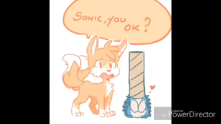 【同人漫配】现实中的索尼克和他的朋友们的日常