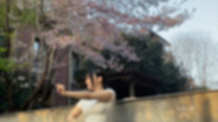 Wing Chun Under the Cherry Blossom Tree