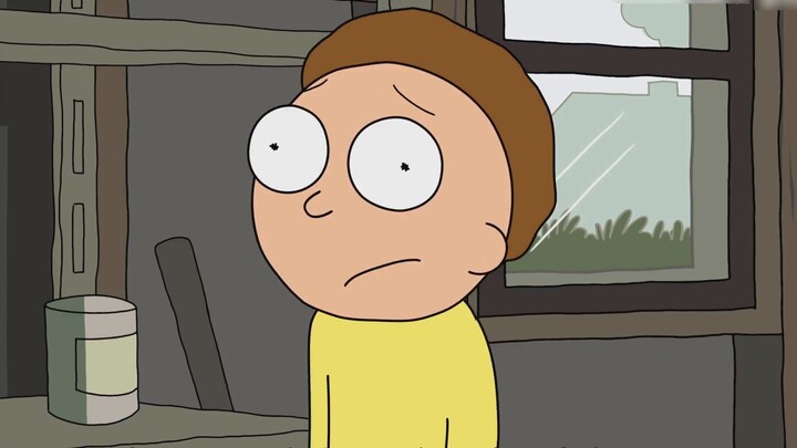 The more you watch, the more you get hooked! Rick and Morty! The exciting adventure of a mad genius 