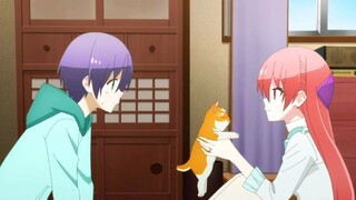 Aku Atau Kucing Kita, Siapa Yang Lebih Imut?