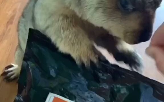 كل يوم تزعجني وتمنعني من الراحة!