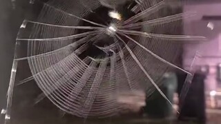 Most people have never seen a spider weaving a web, but I could watch it all day long...