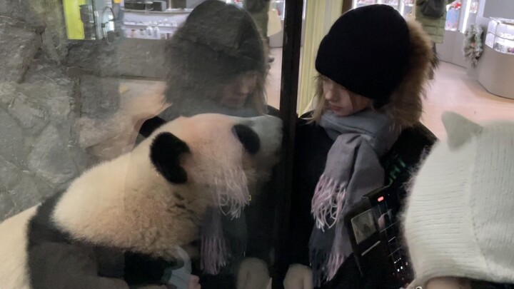 The little kid said she couldn’t see, and Katyusha just happened to walk over and let her take a loo