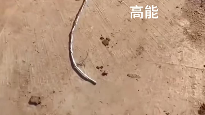 แม่: นี่มันไม่ได้เรียบง่ายเลยนะ