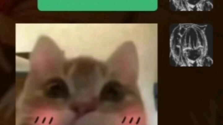 好朋友就是用来这么玩的 模仿的原作者：@Lucas是只猫N