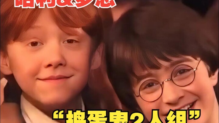แฮร์รี่และรอน "คู่หูก่อปัญหา" สามารถทำลายบ้านของคุณได้หากคุณไม่ระวัง!