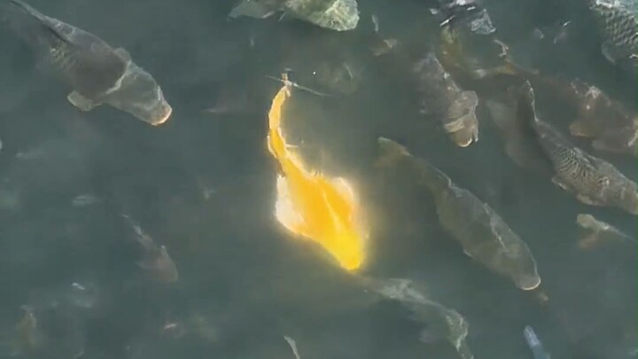 Is there still hope for this situation?