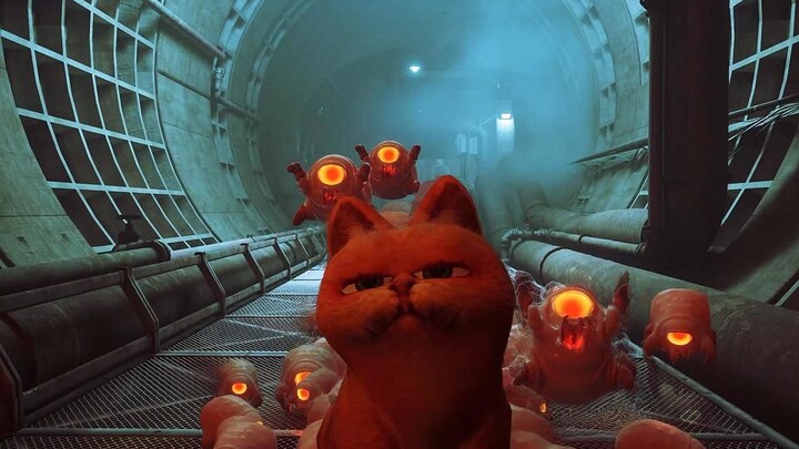 The Composure of Older-Generation Cats