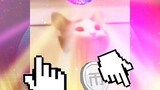 [Remix] Kucing POPO: Menarilah semuanya!