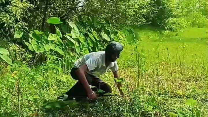 trending video funny 🤣 please like comment share