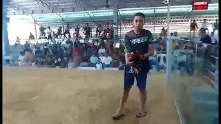 champion feb 2024 2hits ulotan angat cockers arena