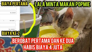Kucing Aneh Dan Lucu Berobat Habis 4 Juta Endingnya Prihatin Minta Makan Popmie ..!