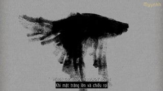 [Vietsub + Lyrics] Birds - Imagine Dragons ft. Elisa