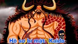 ALL IN ONE l One Piece Tứ Hoàng KAIDO Bách Thú – Sinh Vật Mạnh Nhất Thế Giới!