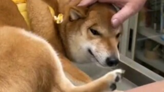 Damn it, I actually got turned on by it!