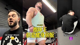 大树挂辣椒的原因找到了‼️
