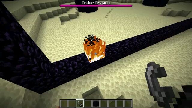 will the dragon go into the nether portal?