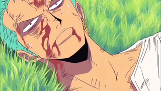 The King's Right- and Left-hand Men: Zoro and Sanji