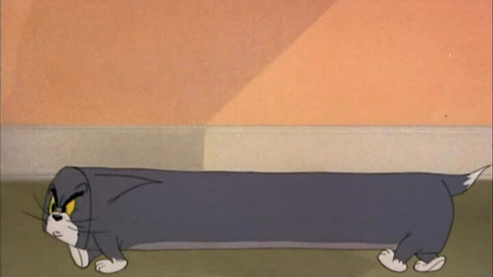 ☝🤓 شريط القط ⚡⚡⚡