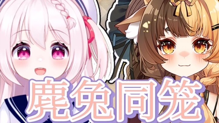 【麂兔同笼】兔与鹿的联动，全程爆笑无尿点（熟肉杂谈）
