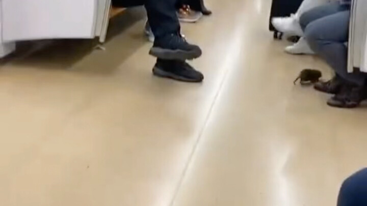 Japanese Daily Life Situation 02