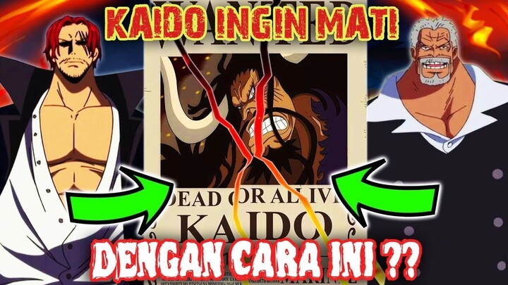 BANYAK TAK MENDUGA !! Kaido Ingin Mat1 "Dengan CARA INI" !? ( One Piece )