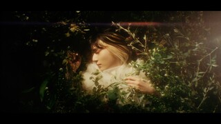 White Cicada' MV