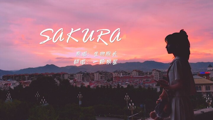 《Sakura》空灵女声深情演绎！这次天台不吃麦