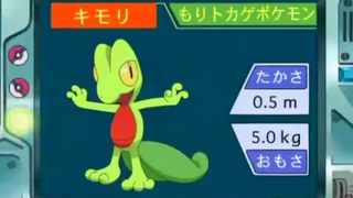 オーキド博士のポケモン講座(キモリ)