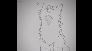 Mary | Tigerstar PMV