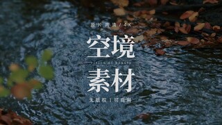 【无版权空镜】fallen leaves