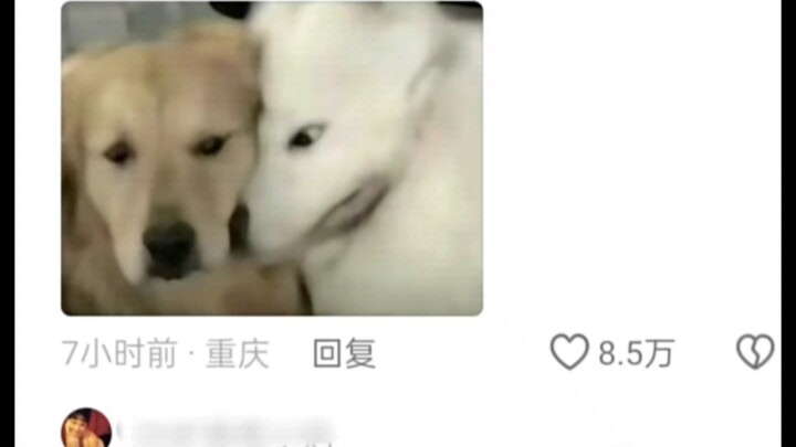 😆 Online: Brought local specialties and got teased by roommates; in real life: even a cough syrup ge