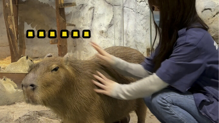 بعض الأمور لا يمكن إخفاؤها إلى الأبد…