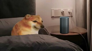 Terlalu larut untuk tidur, Xiao Ai tolong bantu saya tertidur