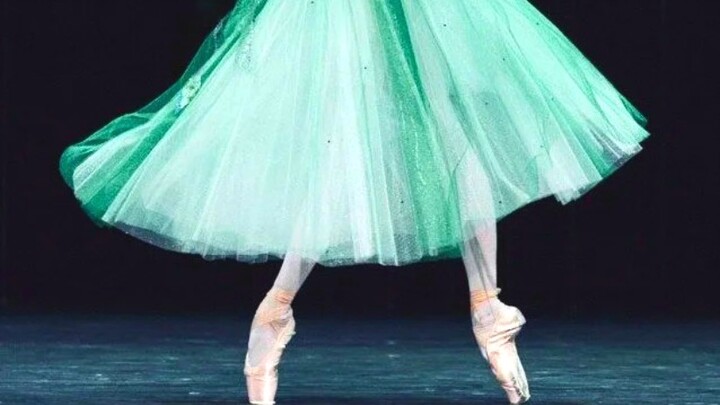原来芭蕾舞裙可以这么美！它完美阐释了绽放之美！