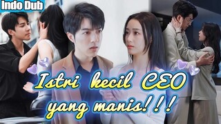 Lahirkan anak CEO tapi direbut. Kembali 5 tahun kemudian, si kecil langsung kenal, Kau ibuku!#ceo