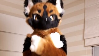 The dog is open for business!!! Phony Fake フォニイ