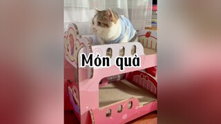 Được voi đòi hai bà trưng mò cat mèo tranvansang