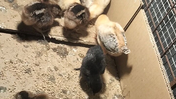 sana maging malusog kau☺️😍🙏