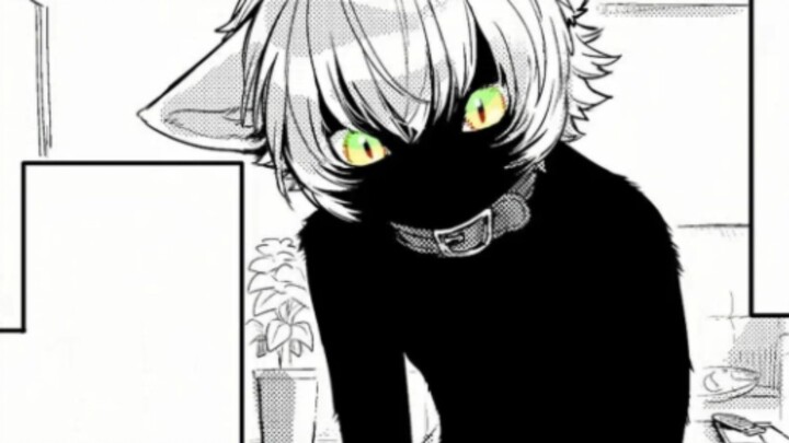 That day, I picked up a... "cat"