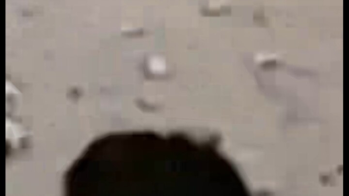 “Đại Hình Mài Cây 1”