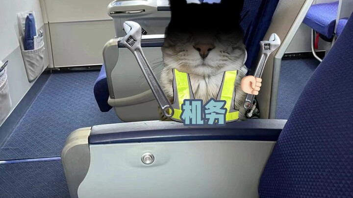 Uncle, you know, I can do more than just repair airplanes!