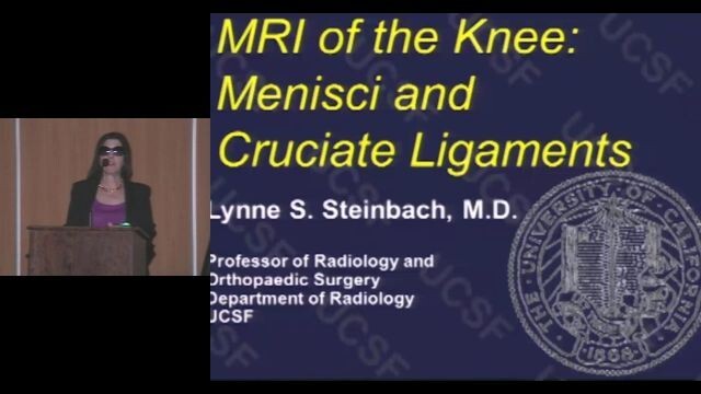 Knee - Lynne S. Steinbach