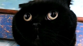 اكتشفت أن لدى والديّ قدرة على التنبؤ بالمستقبل...