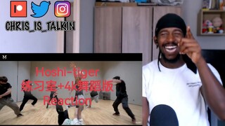 【Reaction中字】EPIC! 史诗级的表演 专业舞者Chris看SEVENTEEN hoshi-tiger 练习室+4k舞蹈版