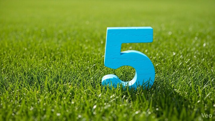 Grassy Numbers (Veo)