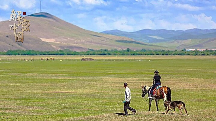 25岁小伙来到偏远藏区，看见蓝天白云下的绝美草原，决定放弃回上海，娶了藏族姑娘，骑马行医40年【传奇中国】