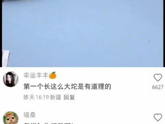 第一个长这么大坨是有道理的