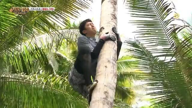 law of the jungle(kota manado)  ep 248 sub indo